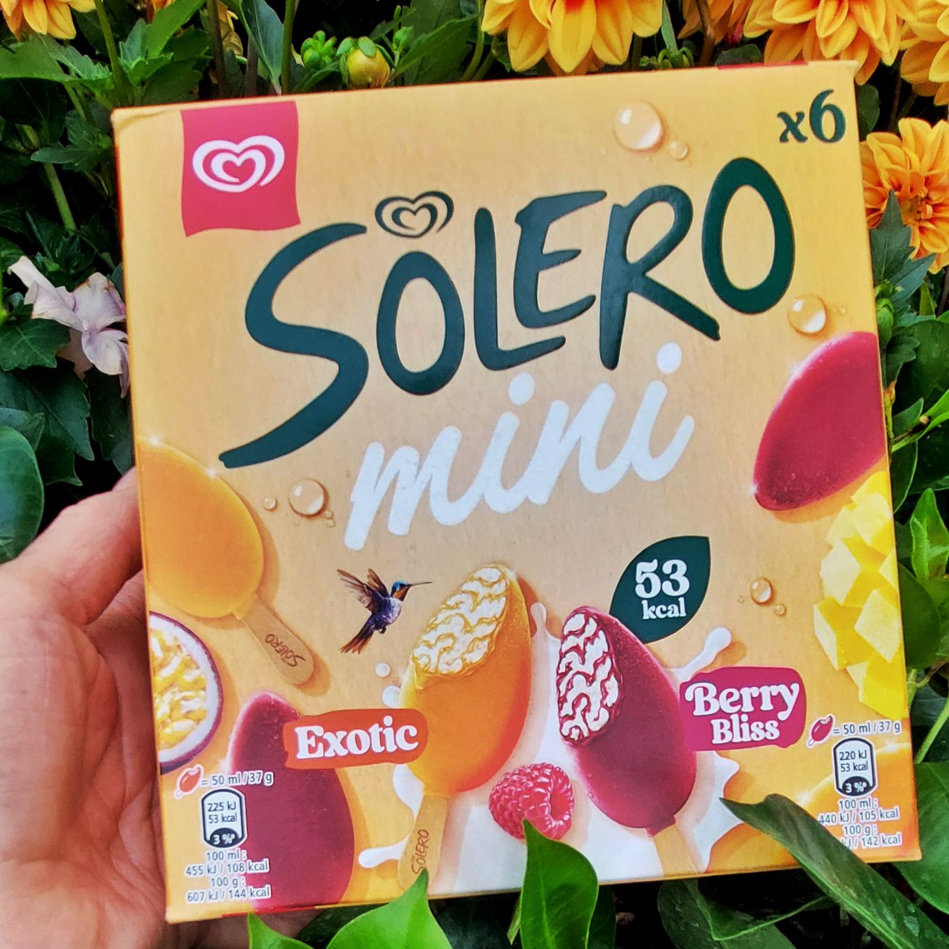 Solero Mini Ma glace SOLERO préférée : les mini bâtonnets | Communauté Ma ...