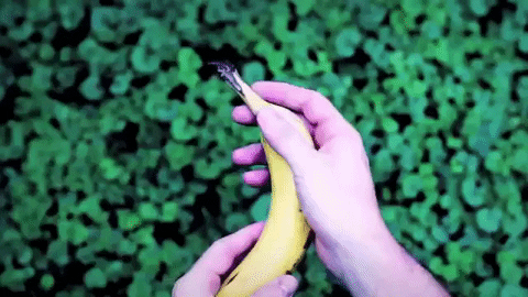 Idée pour prolongé la durée de vos bananes - 2