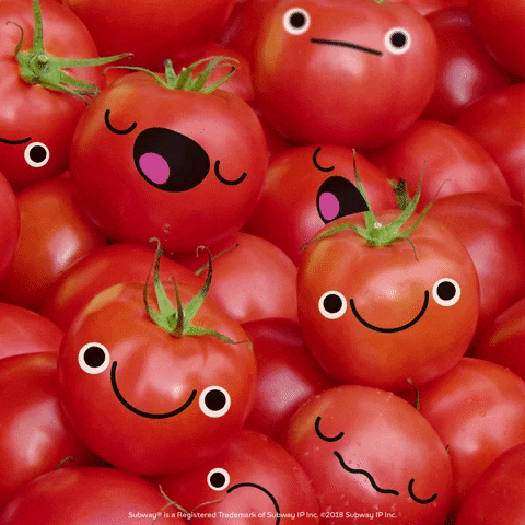 Tomate 🍅 à l'œuf