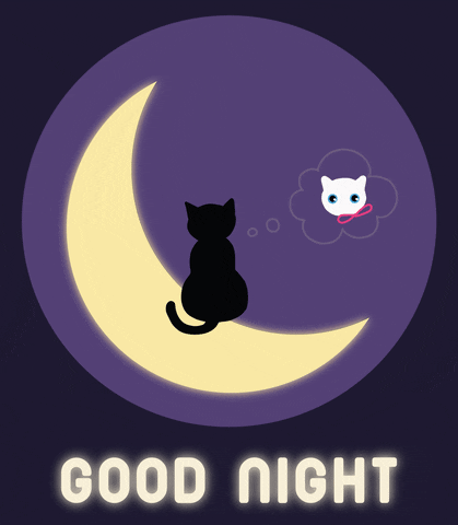 Night night all. Sleep well 😴
