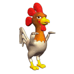 Choisir un poulet fermier jaune label rouge avec sa chair