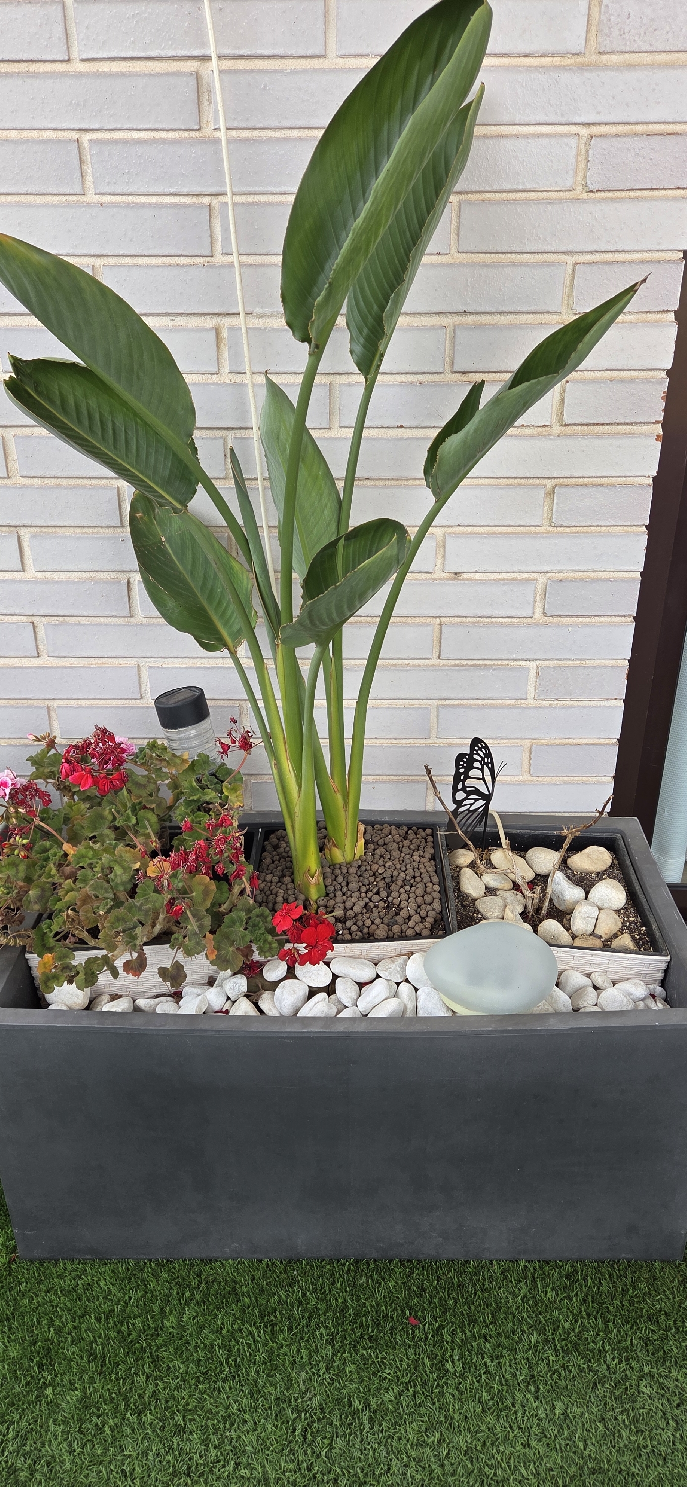 Jardinera con macetas | Comunidad de Comunidad Leroy Merlin