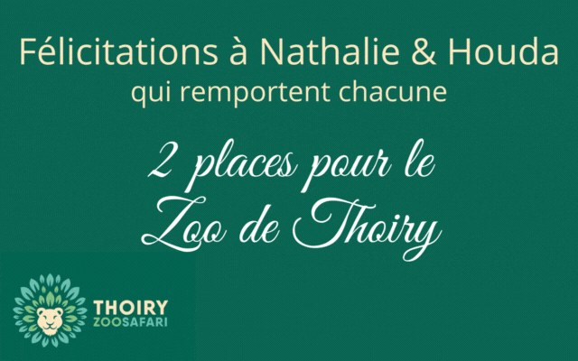 Gagnant du concours Thoiry 🎉🦁