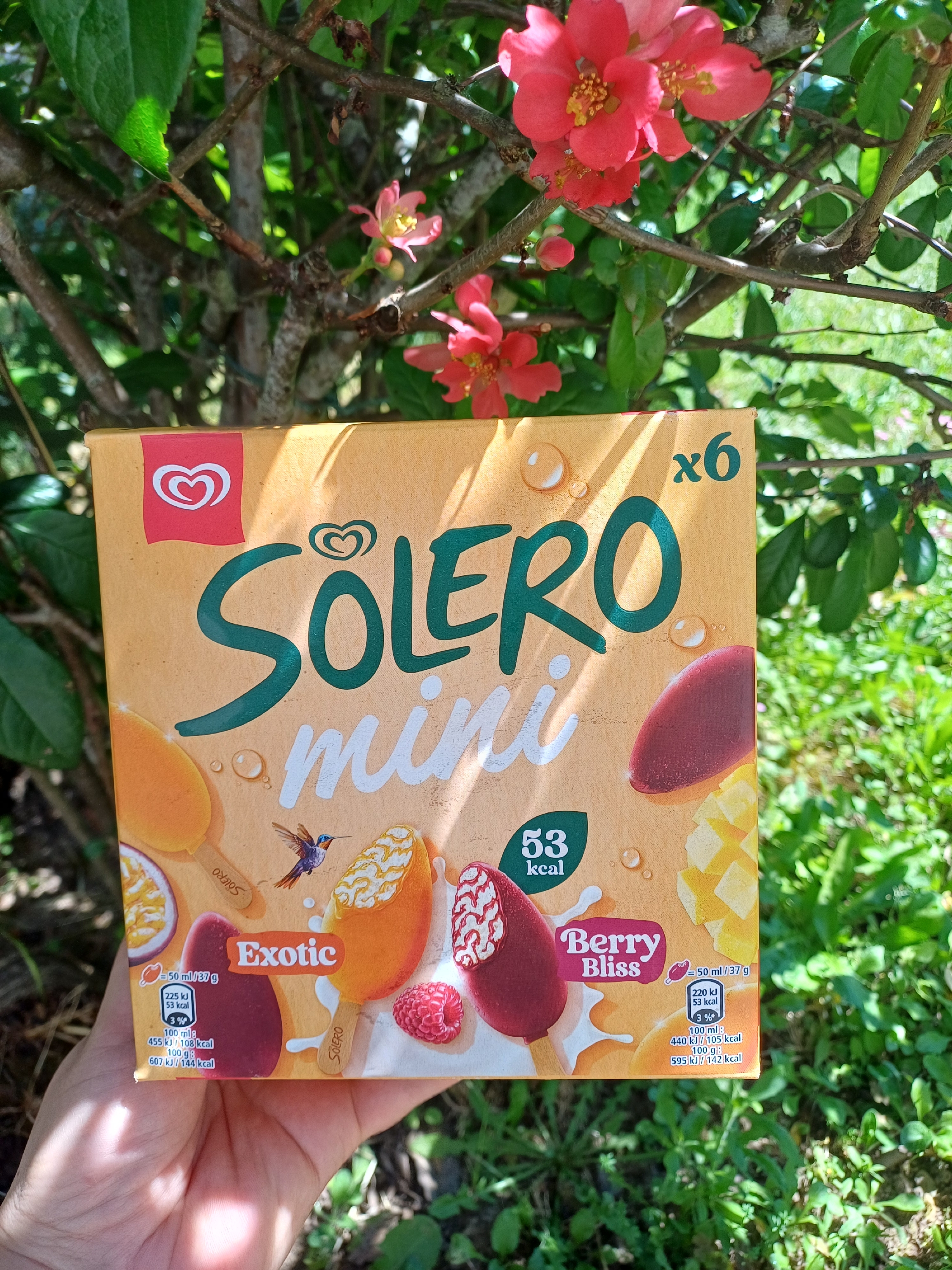Solero Mini Solero mini mes préférés | Communauté Ma Communaute Carrefour
