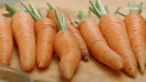 salades de lentilles et carottes