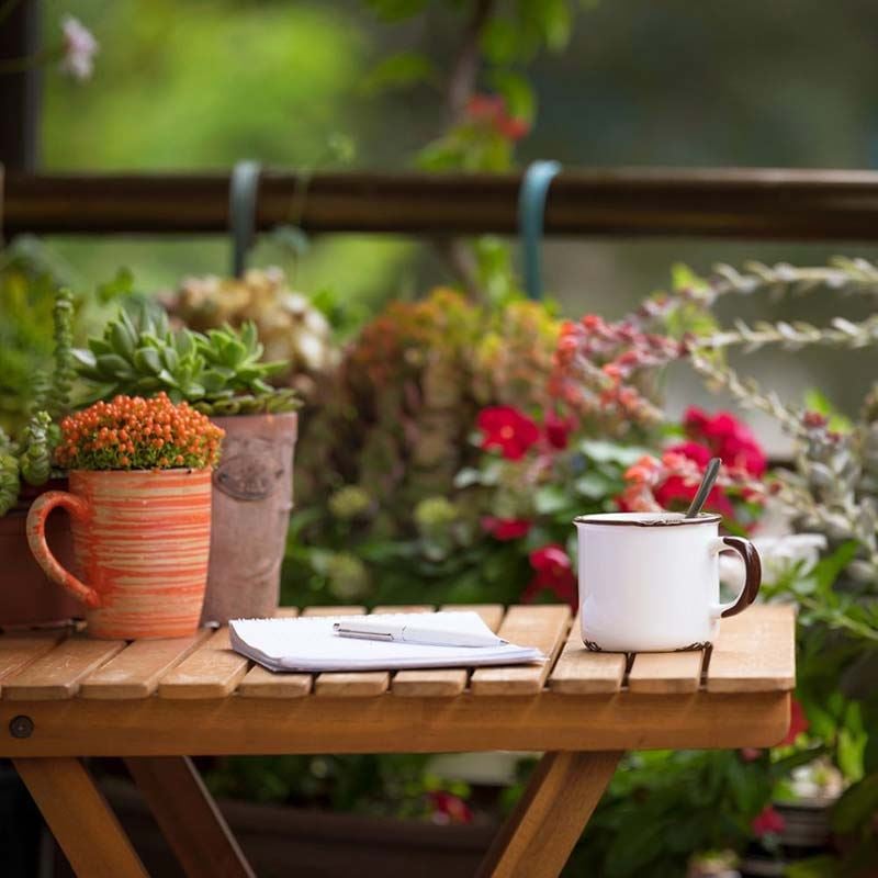 Le migliori decorazioni autunnali per trasformare il tuo giardino