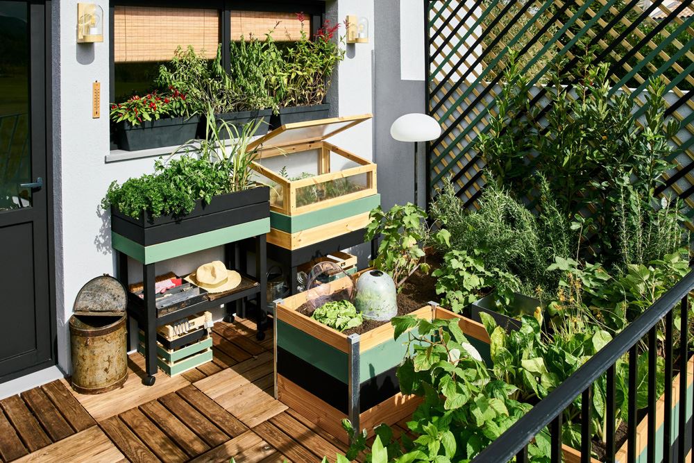 Giardino e terrazzo: gli accessori per l'irrigazione più adatti a ogni  esigenza